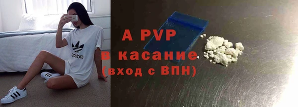 ПСИЛОЦИБИНОВЫЕ ГРИБЫ Вязники