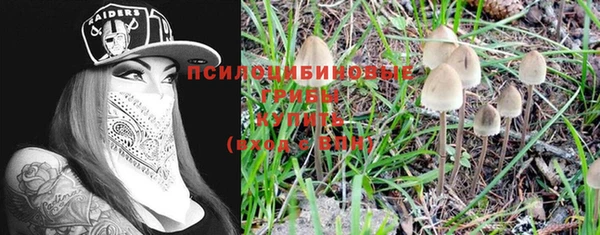 синтетический гашиш Вяземский