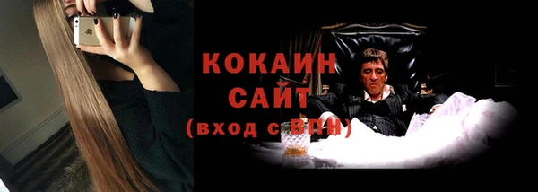 ПСИЛОЦИБИНОВЫЕ ГРИБЫ Вязники