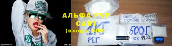 ПСИЛОЦИБИНОВЫЕ ГРИБЫ Вязники