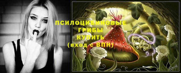круглые Вязьма